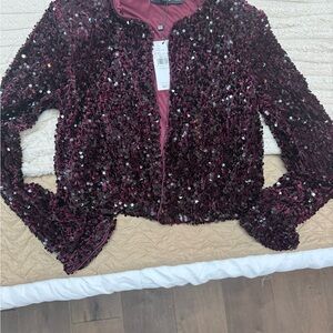 Mango Sparkling Maroon Sequin Blazer